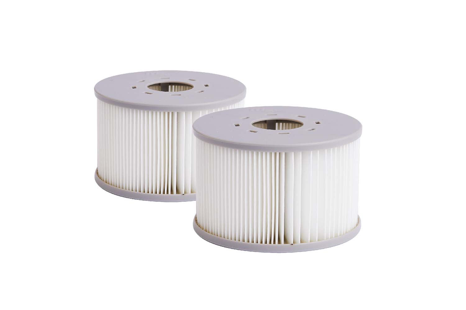 Lot de 2 filtres pour spa Mspa  AVELOR